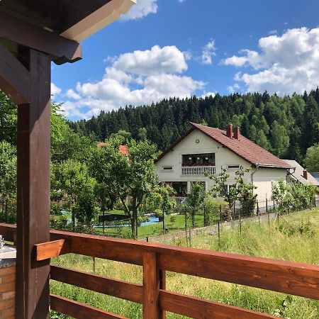 Pensiunea Exedra Hotell Borşa Exteriör bild