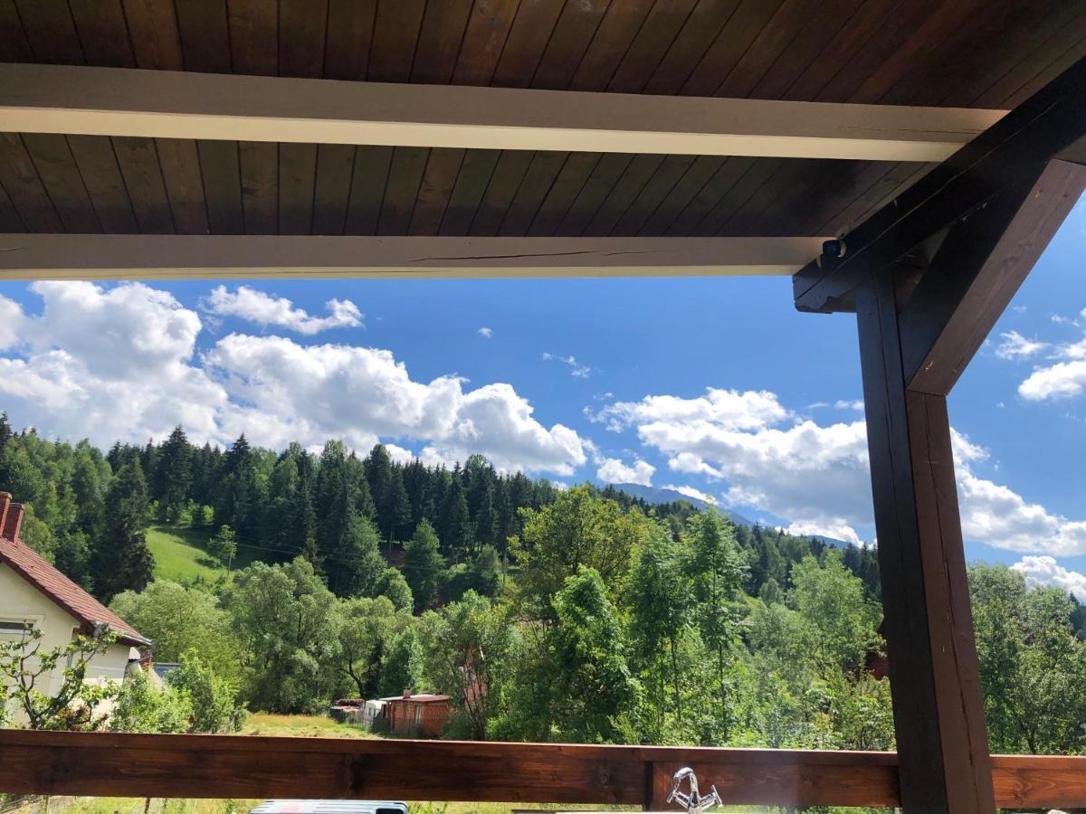 Pensiunea Exedra Hotell Borşa Exteriör bild