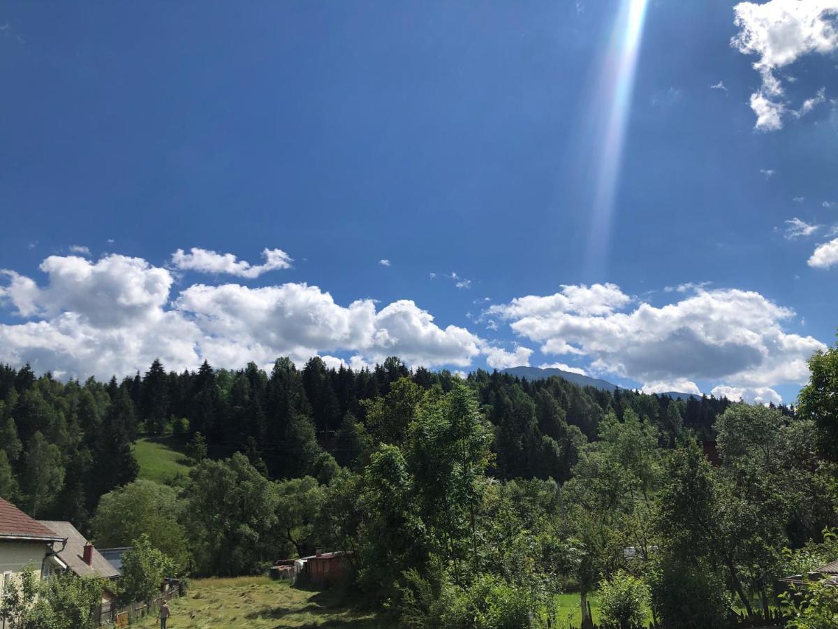 Pensiunea Exedra Hotell Borşa Exteriör bild