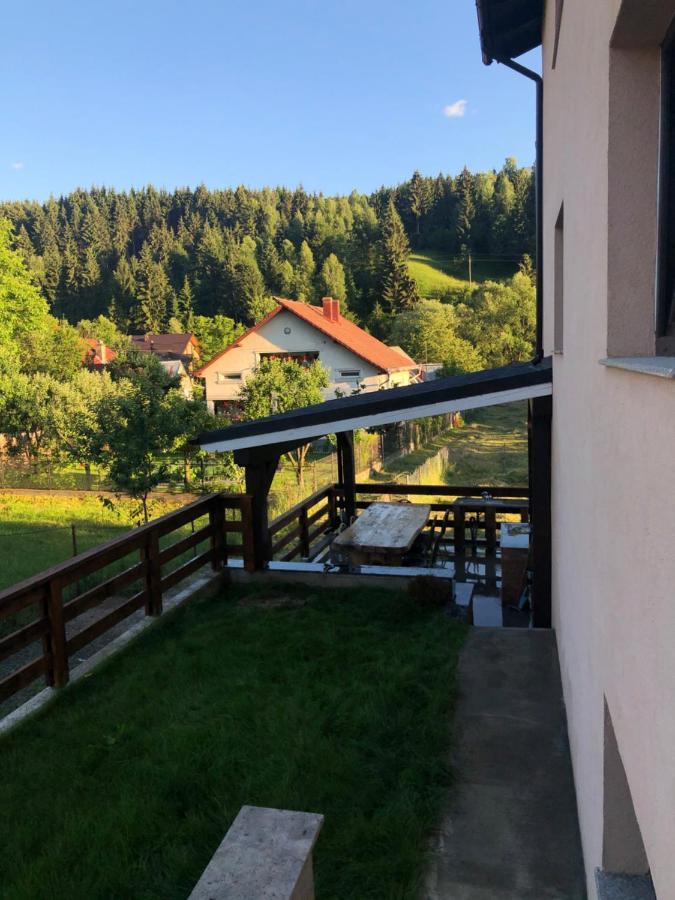 Pensiunea Exedra Hotell Borşa Exteriör bild