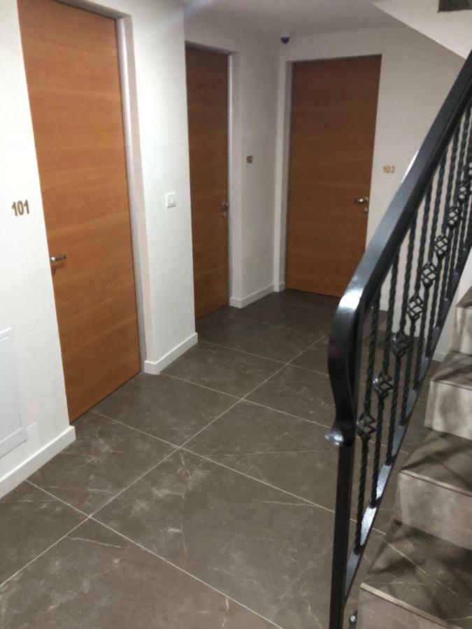 Pensiunea Exedra Hotell Borşa Exteriör bild