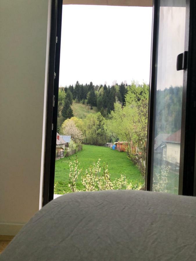 Pensiunea Exedra Hotell Borşa Exteriör bild