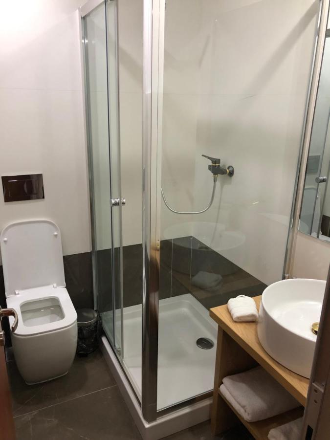 Pensiunea Exedra Hotell Borşa Exteriör bild